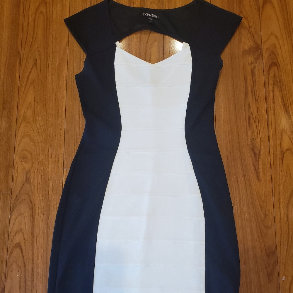 Express Fitted Dress